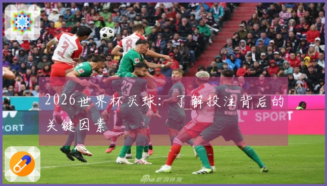 2026世界杯买球：了解投注背后的关键因素