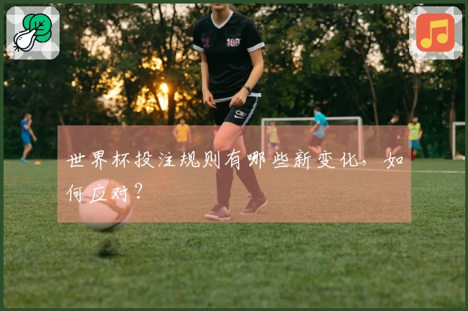 世界杯投注规则有哪些新变化，如何应对？
