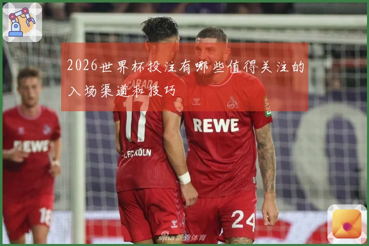 2026世界杯投注有哪些值得关注的入场渠道和技巧