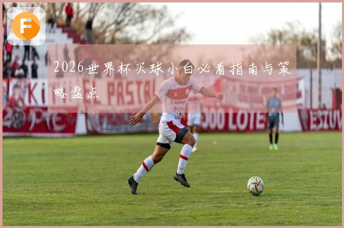 2026世界杯买球小白必看指南与策略盘点