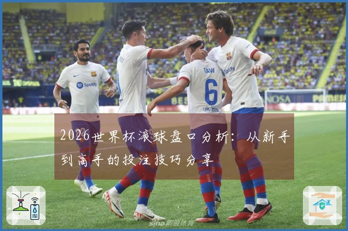 2026世界杯滚球盘口分析：从新手到高手的投注技巧分享