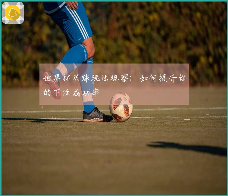 世界杯买球玩法观察：如何提升你的下注成功率