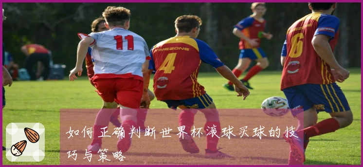 如何正确判断世界杯滚球买球的技巧与策略
