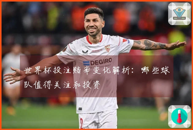 世界杯投注赔率变化解析：哪些球队值得关注和投资