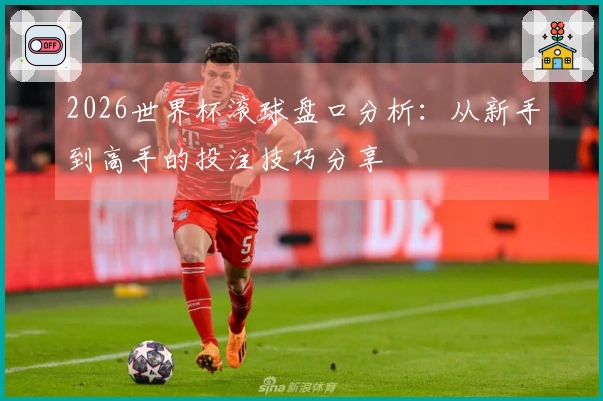 2026世界杯滚球盘口分析：从新手到高手的投注技巧分享