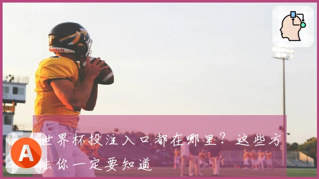 世界杯投注入口都在哪里？这些方法你一定要知道