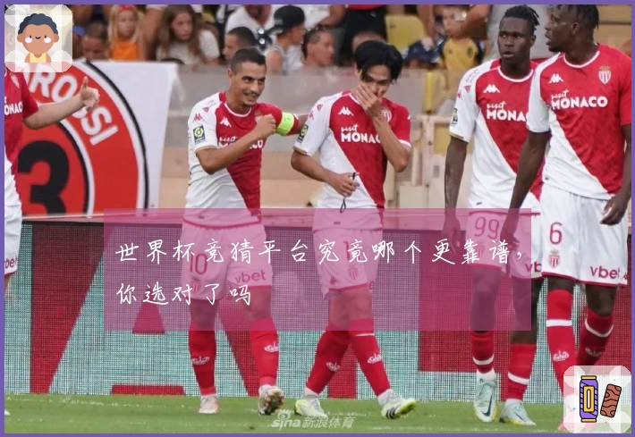 世界杯竞猜平台究竟哪个更靠谱，你选对了吗