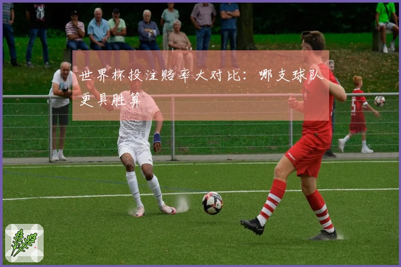 世界杯投注赔率大对比：哪支球队更具胜算