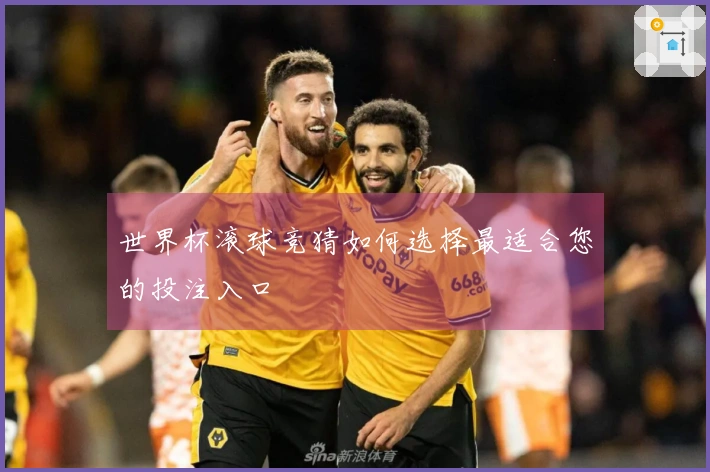 世界杯滚球竞猜如何选择最适合您的投注入口