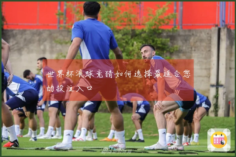世界杯滚球竞猜如何选择最适合您的投注入口