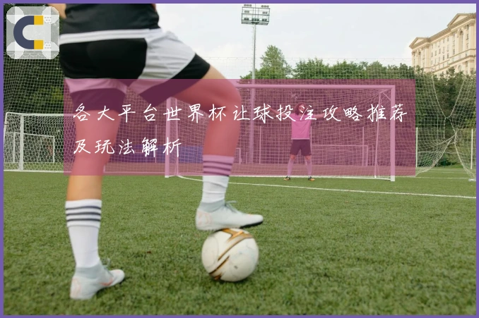 各大平台世界杯让球投注攻略推荐及玩法解析