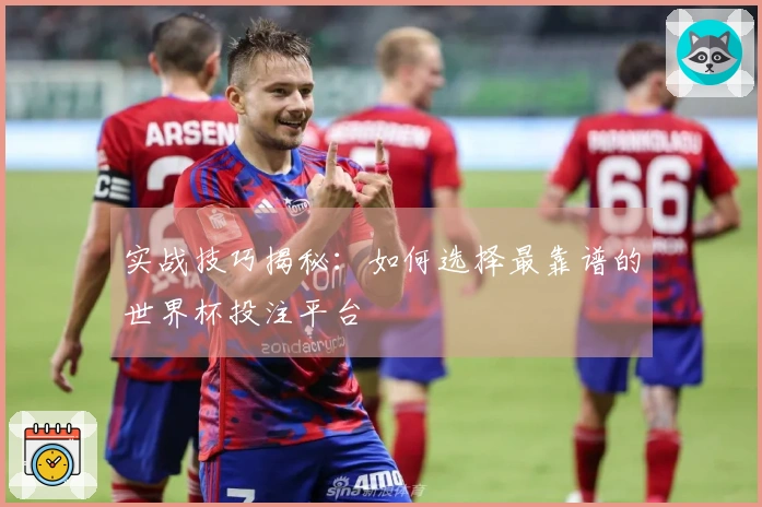 实战技巧揭秘：如何选择最靠谱的世界杯投注平台