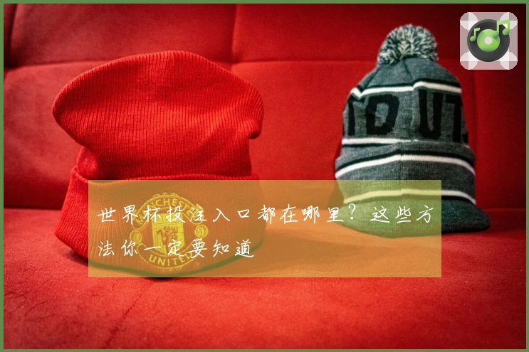 世界杯投注入口都在哪里？这些方法你一定要知道
