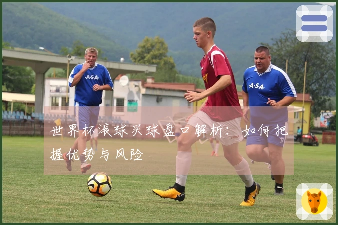 世界杯滚球买球盘口解析：如何把握优势与风险