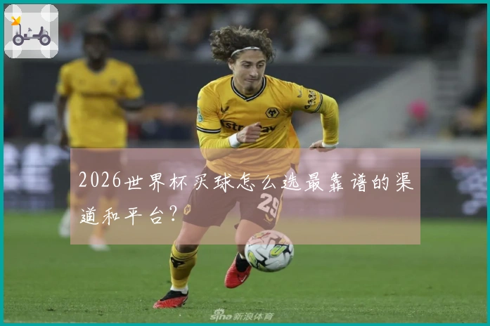 2026世界杯买球怎么选最靠谱的渠道和平台？