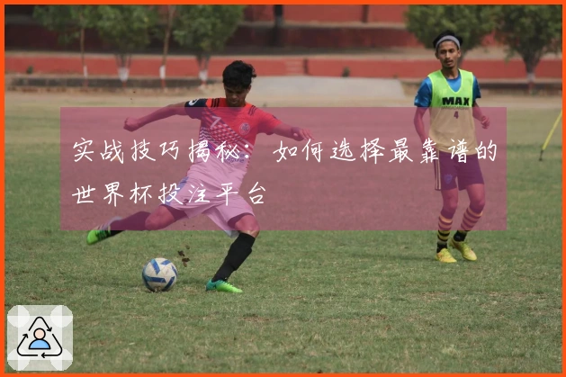 实战技巧揭秘：如何选择最靠谱的世界杯投注平台